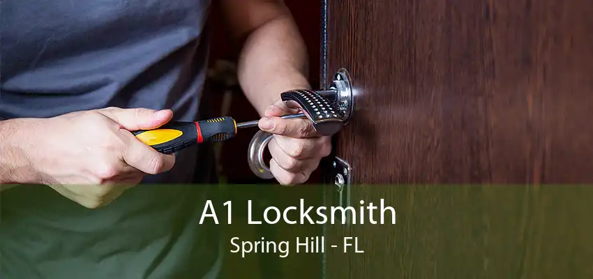 A1 Locksmith Spring Hill - FL