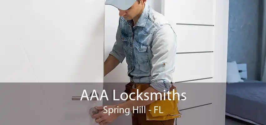 AAA Locksmiths Spring Hill - FL