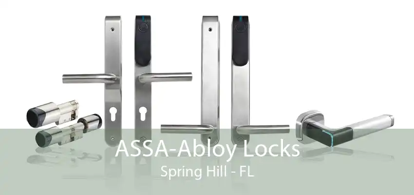 ASSA-Abloy Locks Spring Hill - FL