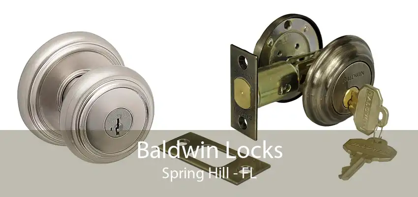 Baldwin Locks Spring Hill - FL