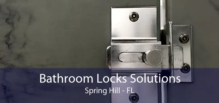 Bathroom Locks Solutions Spring Hill - FL