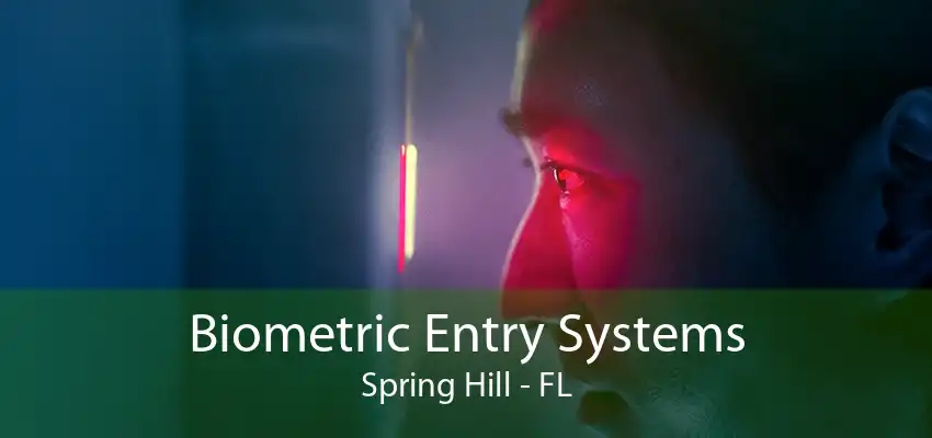 Biometric Entry Systems Spring Hill - FL