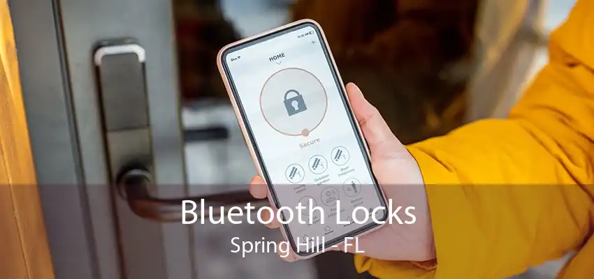 Bluetooth Locks Spring Hill - FL