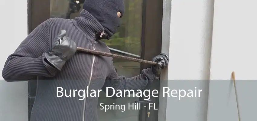 Burglar Damage Repair Spring Hill - FL