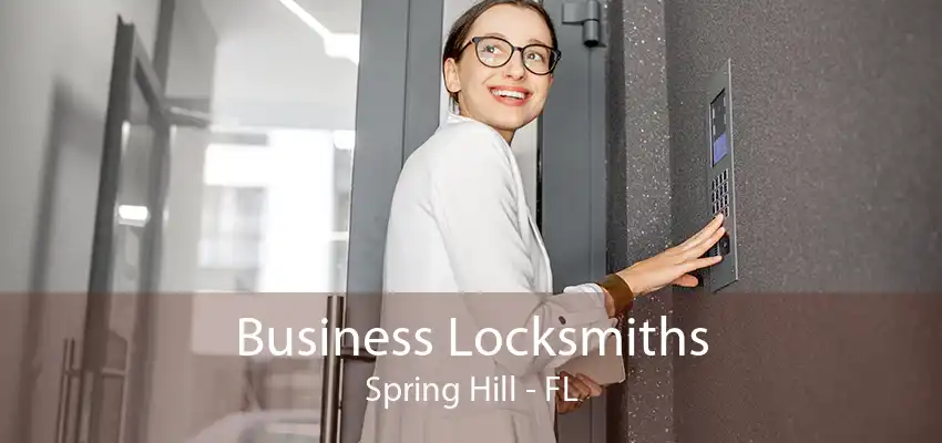 Business Locksmiths Spring Hill - FL