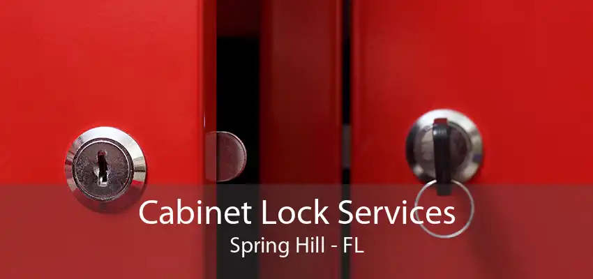 Cabinet Lock Services Spring Hill - FL