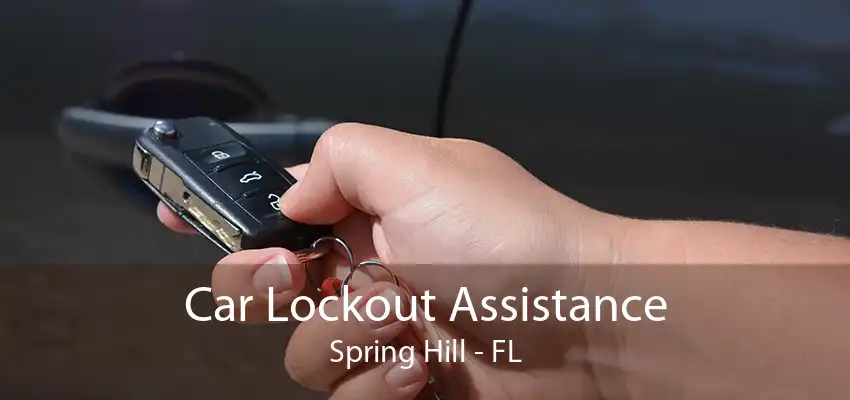 Car Lockout Assistance Spring Hill - FL