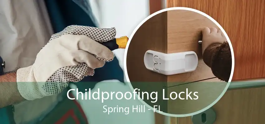 Childproofing Locks Spring Hill - FL