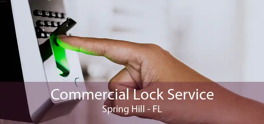 Commercial Lock Service Spring Hill - FL