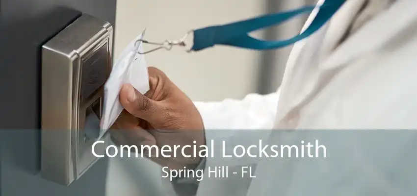 Commercial Locksmith Spring Hill - FL