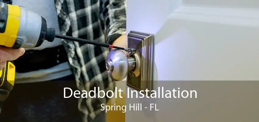 Deadbolt Installation Spring Hill - FL