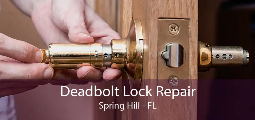 Deadbolt Lock Repair Spring Hill - FL