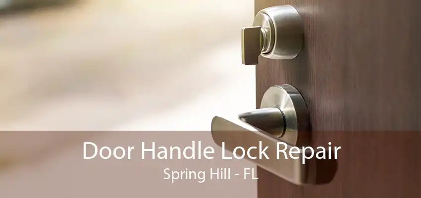 Door Handle Lock Repair Spring Hill - FL