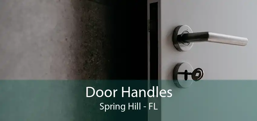 Door Handles Spring Hill - FL