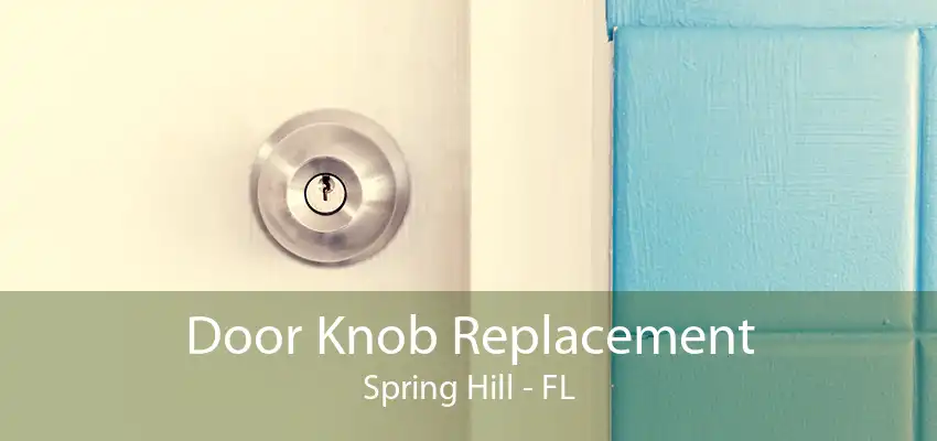 Door Knob Replacement Spring Hill - FL