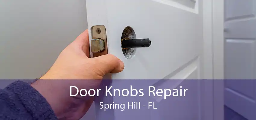 Door Knobs Repair Spring Hill - FL