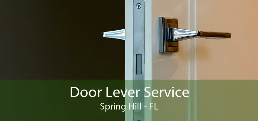 Door Lever Service Spring Hill - FL