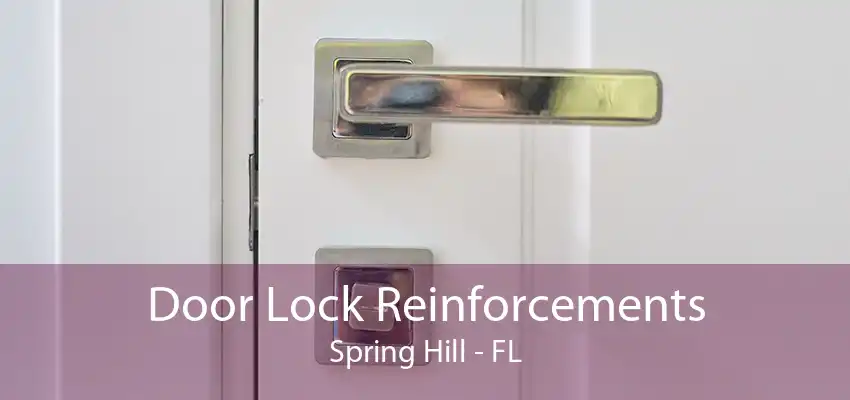 Door Lock Reinforcements Spring Hill - FL