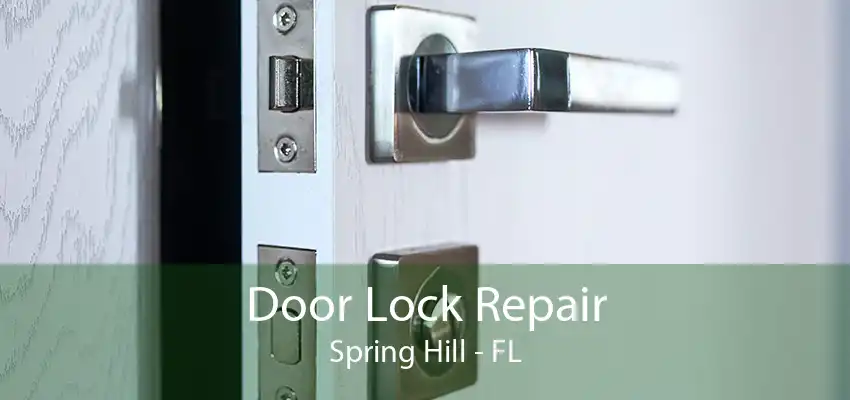 Door Lock Repair Spring Hill - FL