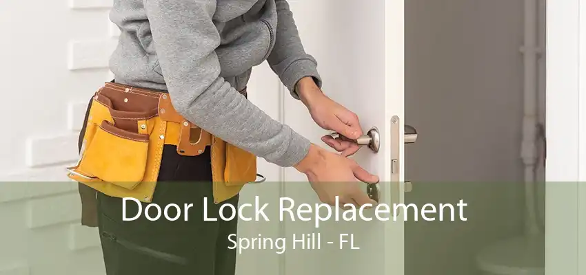 Door Lock Replacement Spring Hill - FL