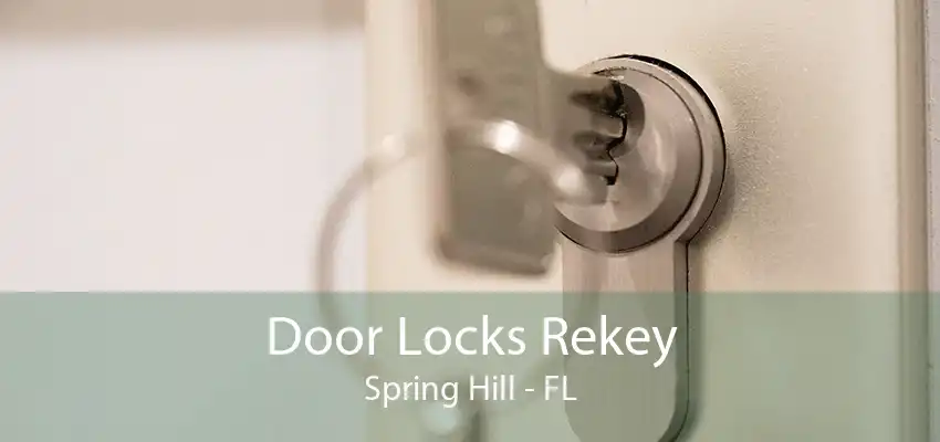 Door Locks Rekey Spring Hill - FL