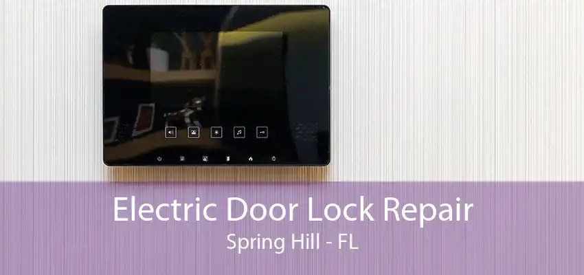 Electric Door Lock Repair Spring Hill - FL