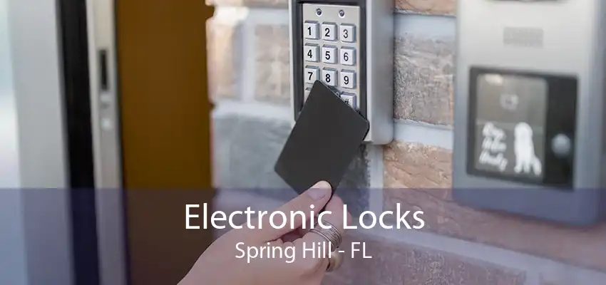 Electronic Locks Spring Hill - FL