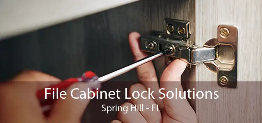 File Cabinet Lock Solutions Spring Hill - FL