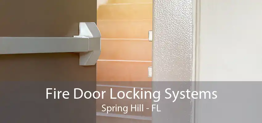 Fire Door Locking Systems Spring Hill - FL