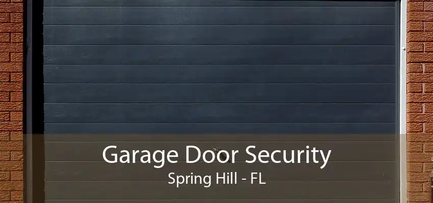 Garage Door Security Spring Hill - FL