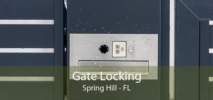 Gate Locking Spring Hill - FL