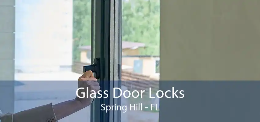 Glass Door Locks Spring Hill - FL