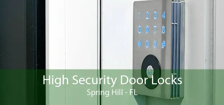 High Security Door Locks Spring Hill - FL