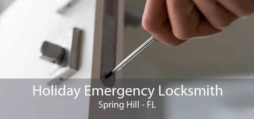 Holiday Emergency Locksmith Spring Hill - FL