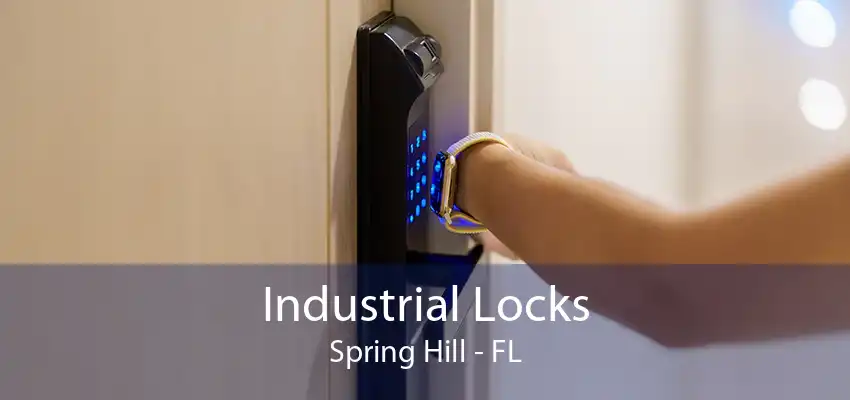 Industrial Locks Spring Hill - FL