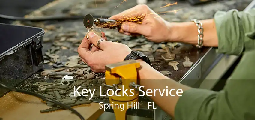 Key Locks Service Spring Hill - FL