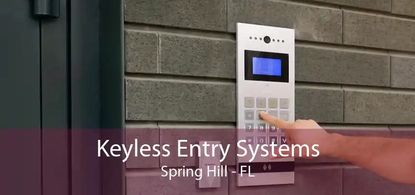 Keyless Entry Systems Spring Hill - FL