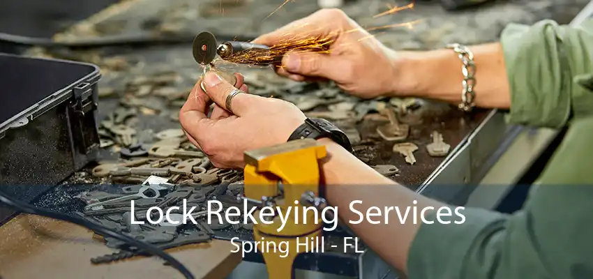 Lock Rekeying Services Spring Hill - FL