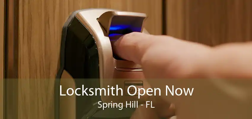 Locksmith Open Now Spring Hill - FL