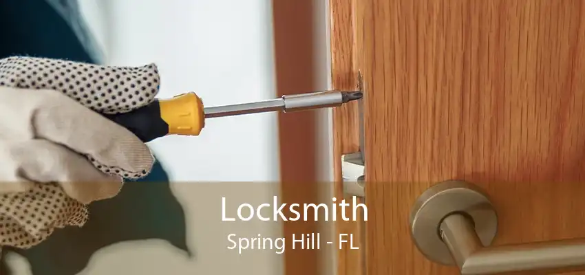 Locksmith Spring Hill - FL