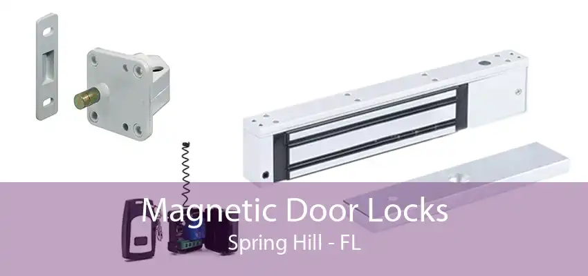 Magnetic Door Locks Spring Hill - FL