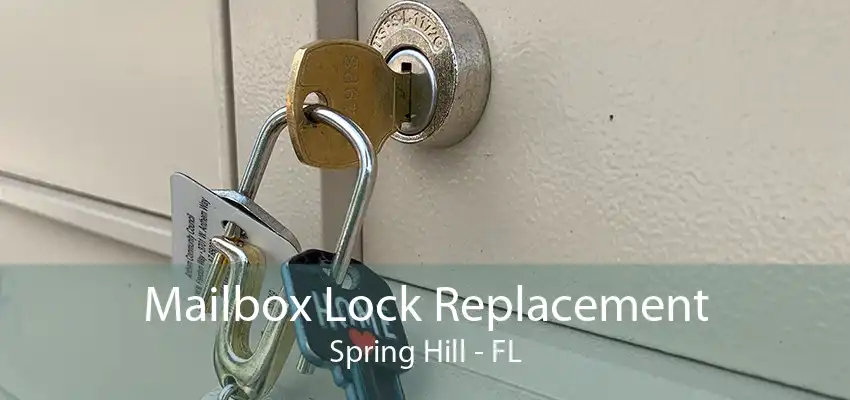 Mailbox Lock Replacement Spring Hill - FL