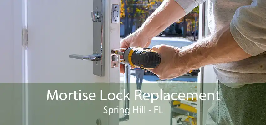 Mortise Lock Replacement Spring Hill - FL