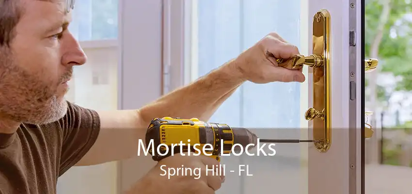 Mortise Locks Spring Hill - FL