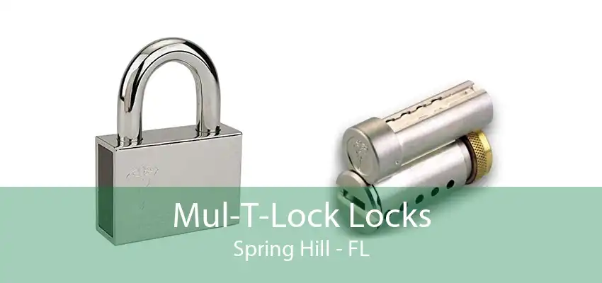 Mul-T-Lock Locks Spring Hill - FL