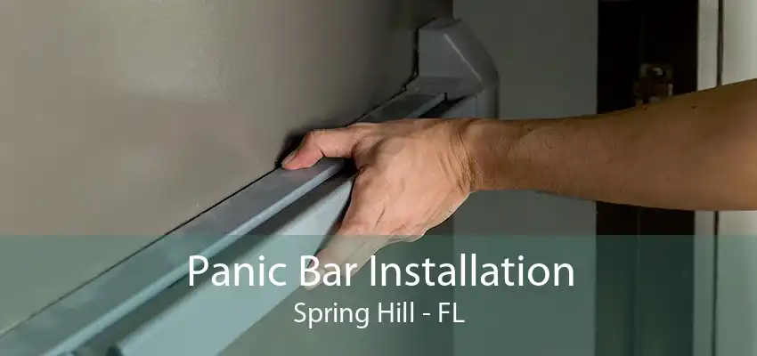 Panic Bar Installation Spring Hill - FL