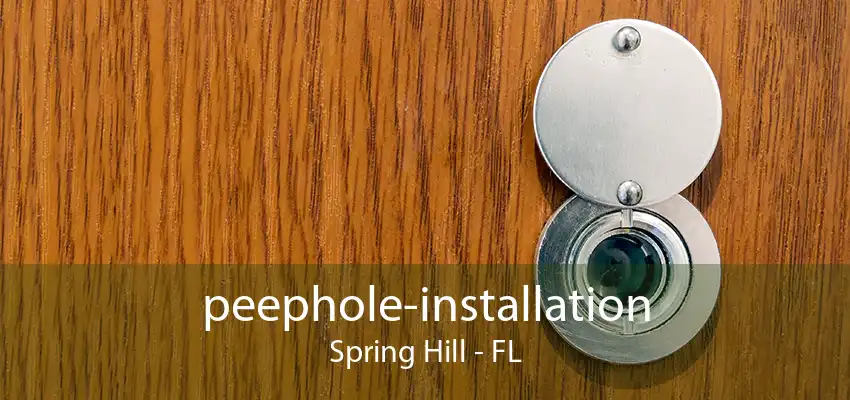 peephole-installation Spring Hill - FL