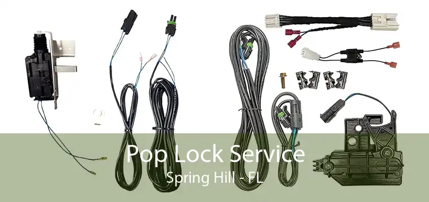 Pop Lock Service Spring Hill - FL