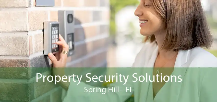 Property Security Solutions Spring Hill - FL