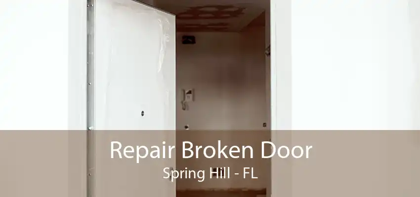 Repair Broken Door Spring Hill - FL